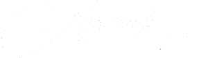 Logo (white)