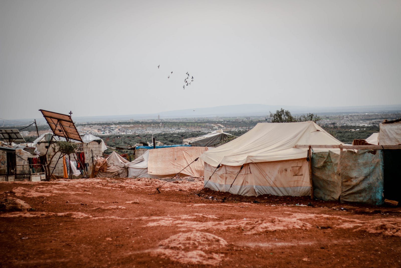 disaster and resilience